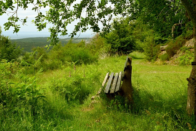 体图：利物浦讨论过引进施洛特贝克，但认为他不是首要目标