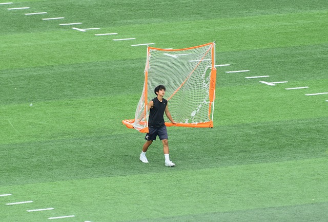 龙屹