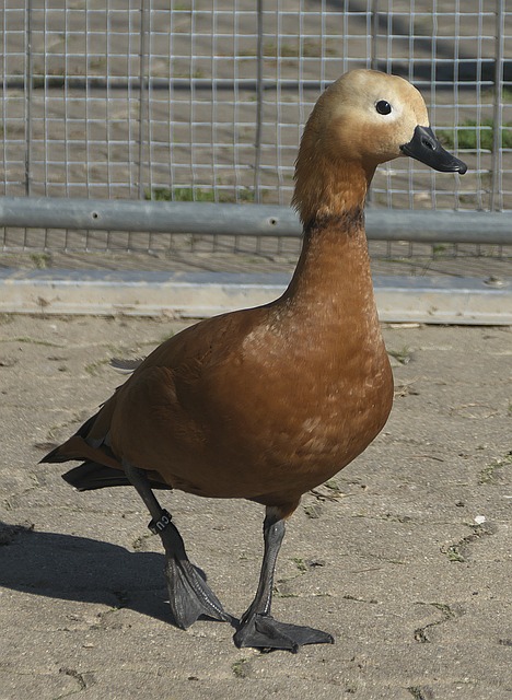 新方向