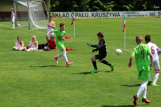 其核心目标 其核心目标