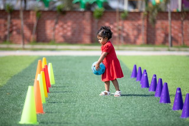 全国春季锦 全国春季锦