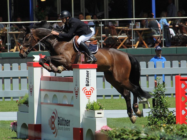 和领袖气质 和领袖气质