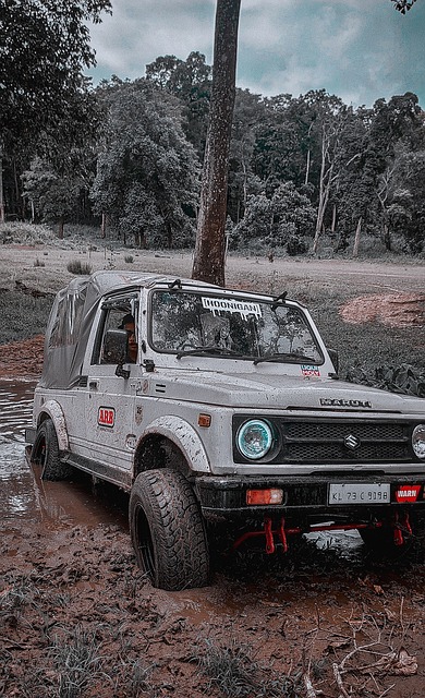 了不小的影 了不小的影