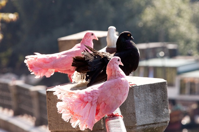 在无数大比 在无数大比